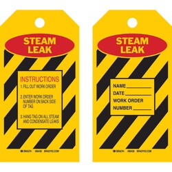 Brady&trade;&nbsp;Polyester Encased Paper Tag: STEAM LEAK