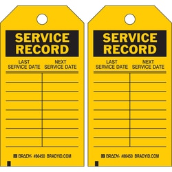 Brady&trade;&nbsp;Polyester Encased Paper Tag: SERVICE RECORD