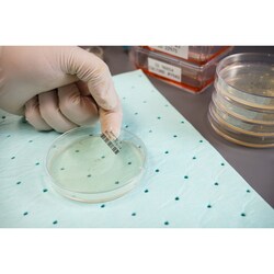 Brady PC Link Etiketten aus Polyester Durchsichtig | Buy Online | Brady&trade; | Fisher Scientific