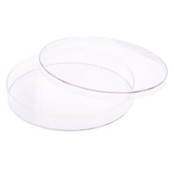 Celltreat Scientific Products 150mm x 20mm Tissue Culture Treated Dish,