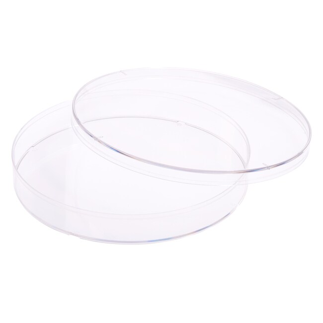 Celltreat Scientific Prod 150MM TISSUE CULTURE DISH Fisher Scientific