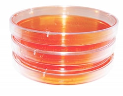 Research Products Corporation Disposable Petri Dishes, Sterile, 100 x 15