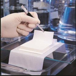 Global Life Sciences&nbsp;BIODYNE B 0.45UM 30CMX3M RL