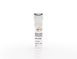 Stemcell Technologies Inc&nbsp;DNase I Solution (1 mg/mL), Size: 1 mL