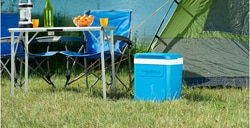 Camping Gaz Glacière portable Icetime Plus 26 L | Buy Online | Camping Gaz&trade; | Fisher Scientific