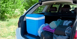 Camping Gaz Glacière portable Icetime Plus 26 L | Buy Online | Camping Gaz&trade; | Fisher Scientific