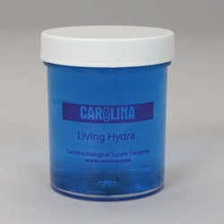 Carolina™ Vitachrome™ Live Hydra