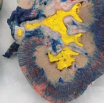 Carolina™ Formalin Pig Kidney