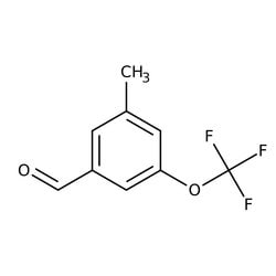 3-Methyl-5-(trifluoromethoxy)benzaldehyde, 97%, Thermo Scientific 1 g | Buy Online | Thermo Scientific Alfa Aesar | Fisher Scientific