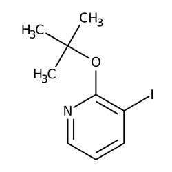 2-terc-Butoxi-3-yodopiridina, 95 %, Thermo Scientific 1 g | Buy Online | Thermo Scientific Alfa Aesar | Fisher Scientific