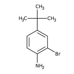 2-Bromo-4-(tert-butyl)aniline 98.0+%, TCI America™