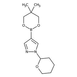 1-(2-Tetrahydropyranyl)-1H-pyrazole-4-acide boronique, ester glycolique de néopentyle, 95 %, Thermo Scientific 250 mg | Buy Online | Thermo Scientific Alfa Aesar | Fisher Scientific