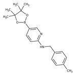 Thumbnail_2-(4-Methylbenzylamino)pyridine-5-boronic acid pinacol ester, 95%, Thermo Scientific