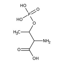 O-Phospho-L-Threonine, MP Biomedicals 5g | Buy Online | MP Biomedicals, Inc | Fisher Scientific