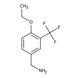 4-Ethoxy-3-(trifluoromethyl)benzylamine, 97%, Thermo Scientific 1 g | Buy Online | Thermo Scientific Alfa Aesar | Fisher Scientific