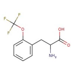 2-(Trifluoromethoxy)-DL-phenylalanine, 97%, Thermo Scientific 1 g | Buy Online | Thermo Scientific Alfa Aesar | Fisher Scientific