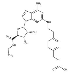 CGS 21680 hydrochloride, 99%