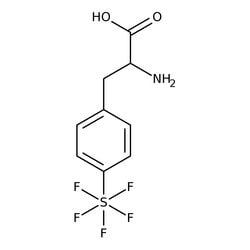 4-Pentafluorothio-DL-phenylalanine, 97%, Thermo Scientific 250 mg | Buy Online | Thermo Scientific Alfa Aesar | Fisher Scientific