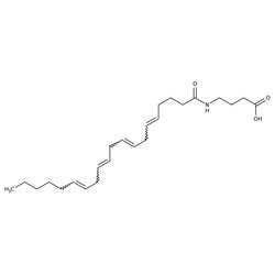 4-(1-Oxo-5Z,8Z,11Z,14Z-eicosatetraenylamino)butanoic acid, 98%, Thermo Scientific Chemicals
