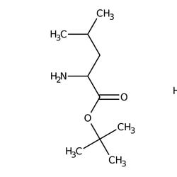 D-Leucine tert-Butyl Ester Hydrochloride 98.0+%, TCI America 1 g | Buy Online | TCI America | Fisher Scientific