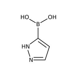 Pyrazole-3-boronic acid hydrochloride, 97%, Thermo Scientific 1 g | Buy Online | Thermo Scientific Acros | Fisher Scientific