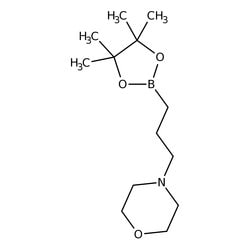 3-(4-Morpholinyl)propyl-1-boronic acid pinacol ester, 98%, Thermo Scientific&trade;