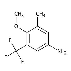 4-Methoxy-3-methyl-5-(trifluoromethyl)aniline, 97%, Thermo Scientific 1 g | Buy Online | Thermo Scientific Alfa Aesar | Fisher Scientific