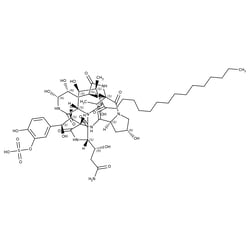 FR 901379 ( 90%), TRC 25 mg | Buy Online | Toronto Research Chemicals | Fisher Scientific