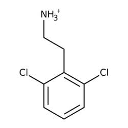 2-(2,6-Dichlorophenyl)ethylamine 98.0+%, TCI America™