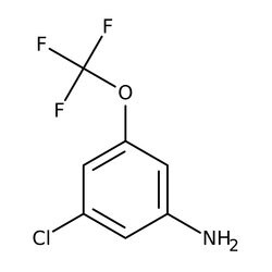 3-cloro-5-(trifluorometoxi)anilina, 97 %, Thermo Scientific 250 mg | Buy Online | Thermo Scientific Alfa Aesar | Fisher Scientific