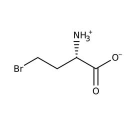 (S)-(+)-2-Amino-4-bromobutyric Acid Hydrobromide 98.0+%, TCI America&trade;