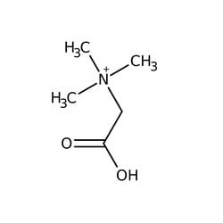 Betain, Hydrat, MP Biomedicals 100 g | Buy Online | MP Biomedicals | Fisher Scientific