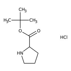 D-Proline tert-Butyl Ester Hydrochloride 98.0+%, TCI America 5 g | Buy Online | TCI America | Fisher Scientific