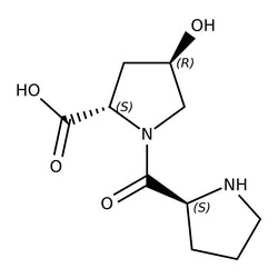 Pro-Hyp-OH, TRC 10 mg | Buy Online | Toronto Research Chemicals | Fisher Scientific