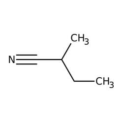 2-Methylbutyronitrile 95.0+%, TCI America 25 mL | Buy Online | TCI America | Fisher Scientific