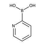 Pyridine-2-boronic acid, 95%