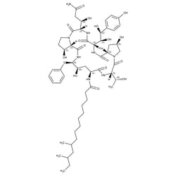 1-[(4R,5R)-N2-(10,12-Dimethyl-1-oxotetradecyl)-4-hydroxy-5-(phenylthio)-L-ornithine]-pneumocandin B0, TRC 25 mg | Buy Online | Toronto Research Chemicals | Fisher Scientific