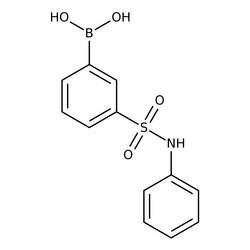3-(Phenylsulfamoyl)benzeneboronic acid, 97%, Thermo Scientific 250 mg | Buy Online | Thermo Scientific Alfa Aesar | Fisher Scientific