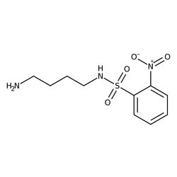 N-(4-Aminobutyl)-2-nitrobenzenesulfonamide 95.0+%, TCI America&trade;