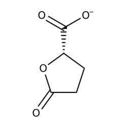 (S)-(+)-5-Oxotetrahydrofuran-2-carboxylic Acid 98.0+%, TCI America&trade;