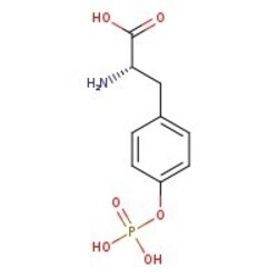 O-Phospho-L-tyrosine 97.0+%, TCI America&trade;