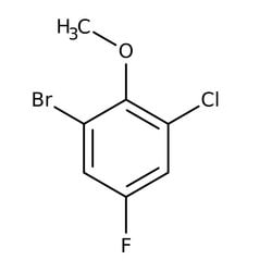 2-Bromo-6-chloro-4-fluoroanisole, 97%, Thermo Scientific 1 g | Buy Online | Thermo Scientific Alfa Aesar | Fisher Scientific