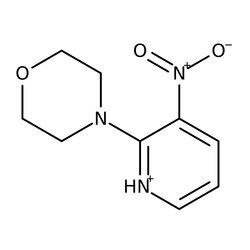 4-(3-Nitro-2-pyridinyl)morpholine, 97%, Thermo Scientific 10 g | Buy Online | Thermo Scientific Chemicals | Fisher Scientific