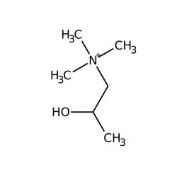 beta-Methylcholine Iodide 99.0+%, TCI America™