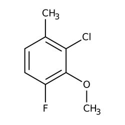 2-Chloro-6-fluoro-3-methylanisole, 97%, Thermo Scientific 5 g | Buy Online | Thermo Scientific Alfa Aesar | Fisher Scientific