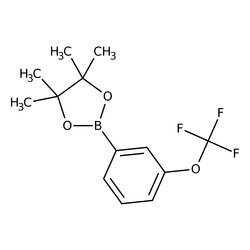 4,4,5,5-Tetramethyl-2-[3-(trifluoromethoxy)phenyl]-1,3,2-dioxaborolane 98.0+%, TCI America&trade;