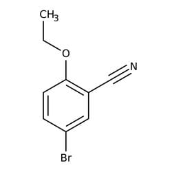5-Bromo-2-ethoxybenzonitrile, 99%, Thermo Scientific 250 mg | Buy Online | Thermo Scientific Alfa Aesar | Fisher Scientific