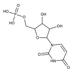 Polyuridylic Acid, Potassium Salt, MP Biomedicals 25 mg | Buy Online | MP Biomedicals, Inc | Fisher Scientific