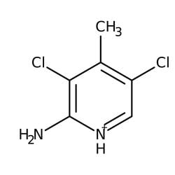 2-Amino-3,5-dichloro-4-methylpyridine 98.0+%, TCI America 5 g | Buy Online | TCI America | Fisher Scientific