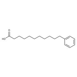 Phenylundecanoic Acid, Mixture of Isomers 99%, Thermo Scientific 500 g | Buy Online | Thermo Scientific Chemicals | Fisher Scientific